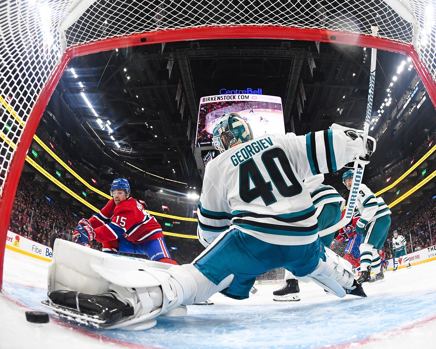 Alex Newhook Canadiens